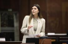 La asambleísta Valentina Centeno (ADN) dijo que el incentivo tributario propuesto en la Ley urgente de Noboa permitirá motivar la construcción de vivienda de manera más eficiente.