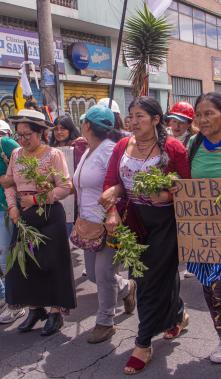 YUMAYANTA DOCUMENTAL