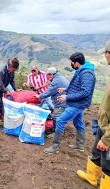 agricultura