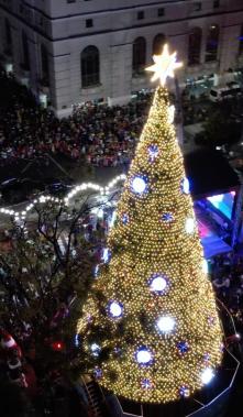 árbol gigante del Malecón 2000