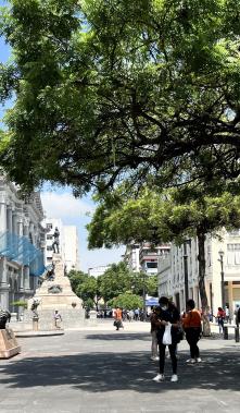 Municipio de Guayaquil