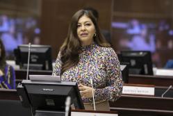 Solicitud. La legisladora de RC, Sofía Espín, propuso que Fiscalización investigue la crisis energética.