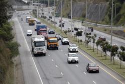 RUTA VIVA (14315820)