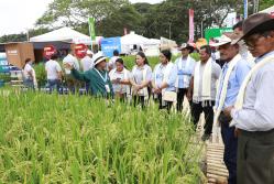 Capacitación. Expertos del congreso muestran a agricultores mejores técnicas de productividad.