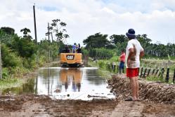 inundaciones - fusarium  (2)