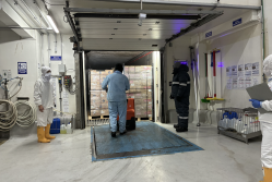 productos congelados pronaca