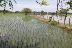 Recinto Los Quemados