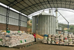 Comercialización de maíz con PMS