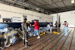 Aletas de tiburón Guayaquil