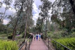 Parque Bosque Cumbayá