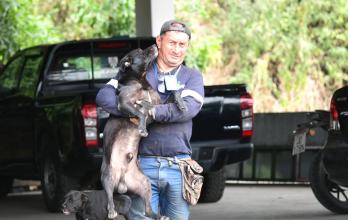 Animales maltratados Guayaquil