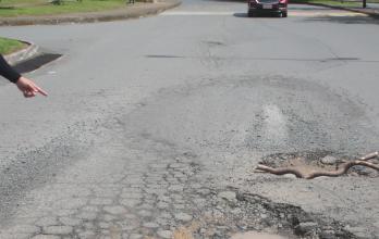 Baches en La Aurora