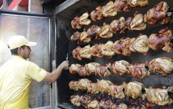 VENTA DE POLLOS HORNE (30862418)