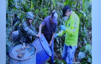 Plantaciones droga La Hormiga