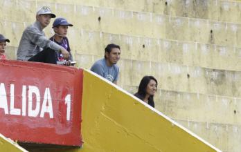Aucas - Delfín