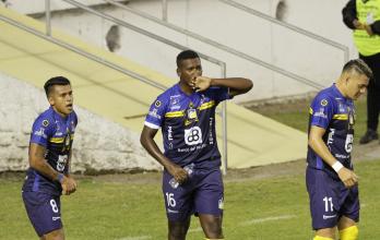 Aucas - Delfín