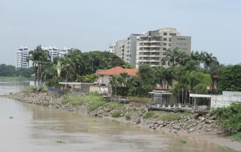 Planta 1
