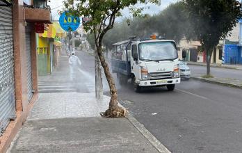 desinfección ciudad quito