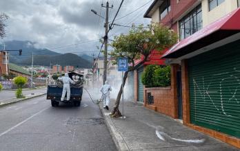 desinfección ciudad quito