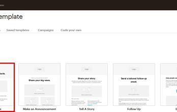 Mailchimp 5