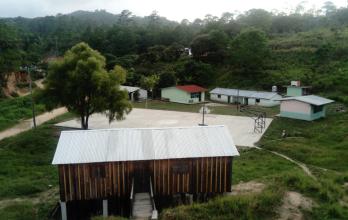 mexico pueblo bosque jalisco
