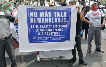 marcha por tala ilegal de manglar