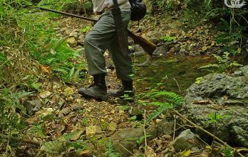 Los cazadores, una de las más peligrosas amenazas de la fauna de Guayaquil.