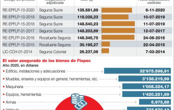 GRAFICO SEGURO FLOPEC
