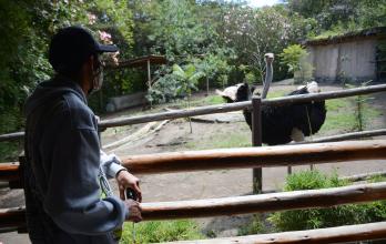 ZOOLOGICO GUAYLLABAMBA(32940738)