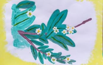 Las obras ganadoras del concurso organizado en Santay.