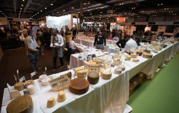 gourmetqueso1