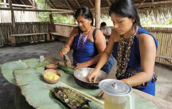 Mujeres de la amazonía dedicadas a cocinar