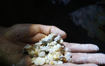 Roca. Un uniformado muestra el material de la beta.
