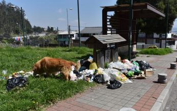 BASURA3