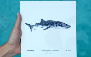Ilustraciones que forman parte de 'Habitarts', colección de NFTs.