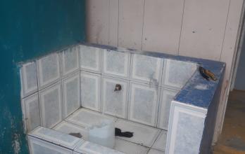Daños en planteles
