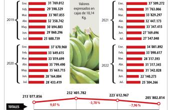 producción y exportación