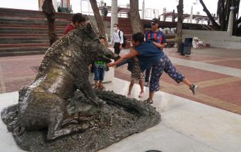 Foto de Sistema Granas (9242845)