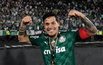 Gustavo-Gómez-Palmeiras
