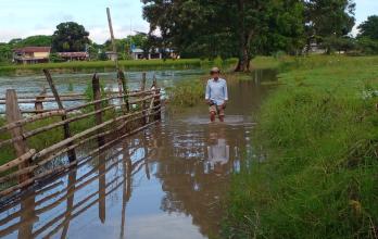 Daule, poblaciones inundadas