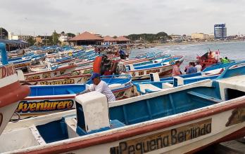 Cuatro cooperativas pesqueras hay en Playas