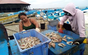 En la playa tambien se faena la pesca que llega de las embarcaciones, lo que reduce más el espacio para el turismo.