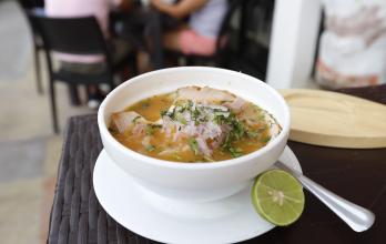 EL ENCEBOLLADO (10421067)