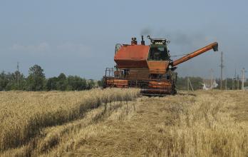 cosecha de granso Ucrania