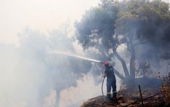 incnedio grecia bomberos