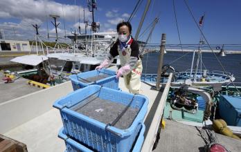 Japan inicia vertido al océano  (11128619) pesca