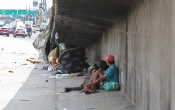 puentes invadidos