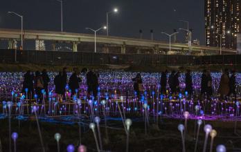 La Freedom Plaza de Nueva York se enciende con una instalación luminosa de Bruce Munro