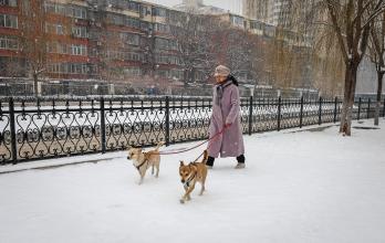 Pekín se despide de las nevadas para dar paso junto al resto de China a una ola de frío extrema