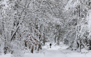 La tormenta invernal en EE.UU. deja al menos tres muertos y cortes de electricidad